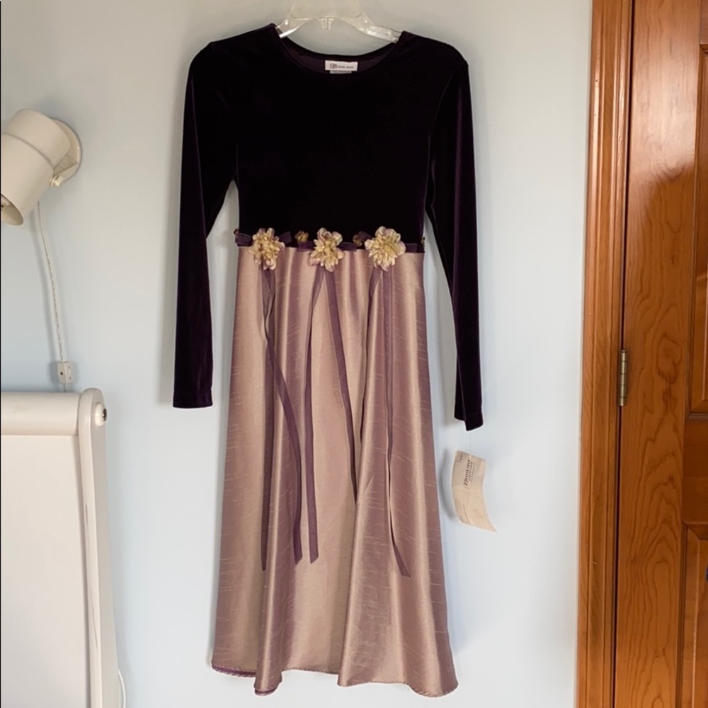 NWT Girls Bonnie Jean Velvet Holiday Dress